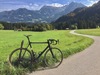 Colnago C60 PLBK photo