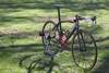 Colnago CLX 1.0 (For Sale) photo