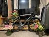 Colnago clx photo Colnago clx photo