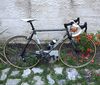 Colnago Titanio CT1 photo