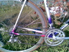 Colnago Decor photo
