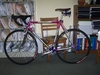 Colnago Decor photo