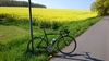 Colnago Dream photo