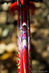 Colnago Dream Cyclocross x Super Record photo