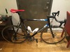 Colnago Dream HP B-Stay photo