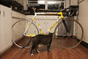 2003 Colnago Dream Lux photo