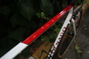 Colnago Dream lux (Custom paint) photo