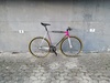 Colnago Dream Pista photo