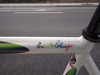 Rainbow Colnago Dream Pista photo