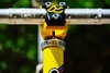 Colnago DreamLux photo