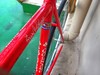 Colnago Esamexico Pista photo