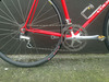 Colnago Team Custom photo