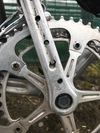 Colnago knock off photo