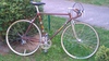 Colnago marrakesh gold & brown For Sale photo