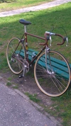 Colnago marrakesh gold & brown For Sale photo