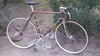 Colnago marrakesh gold & brown For Sale photo