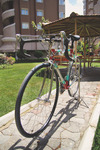 Colnago Super 54" photo