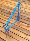 Colnago Master frame&fork photo