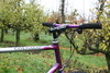 Colnago Master mountainbike photo