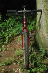 Colnago Master MTB photo