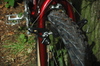 Colnago Master MTB photo