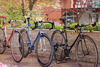 Colnago Master Olympic 1993 photo