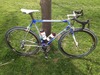 Colnago Master Olympic 1996 photo