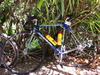 Colnago Master Olympic photo