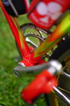 Colnago Master Olympic Ariostea photo