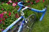 Colnago Master Olympic Art Decor photo