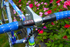 Colnago Master Olympic Art Decor photo