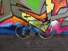 Colnago Master Olympic Art Decor photo