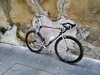 Colnago Master Olympic Decor photo