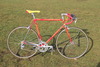 Colnago Master Olympic Steven van Olmen photo