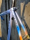 Colnago Master Pista, Mapei Edition photo