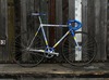 Colnago Master Pista, Mapei Edition photo