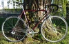 Colnago Master Piu photo