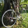 Colnago Master Piu photo