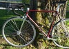 Colnago Master Piu photo