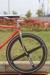 Colnago master piu 54CM photo