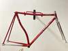 Colnago master piu crono pursuit bike photo