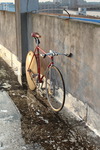 Colnago Master Pursuit photo