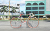 Colnago Master Piu photo