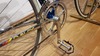 Colnago Oval CX photo