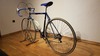 Colnago Oval CX photo