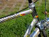 Colnago Oval CX Turing photo