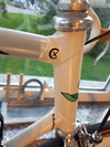 Colnago Oval CX White photo