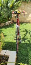 Colnago Oval Master Titanium photo