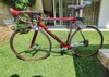 Colnago Oval Master Titanium photo