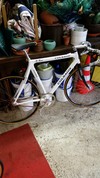 Colnago Pista photo